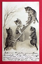 Prägedruck AK KATZE 1902 Katzen auf Wippe    ( 7536