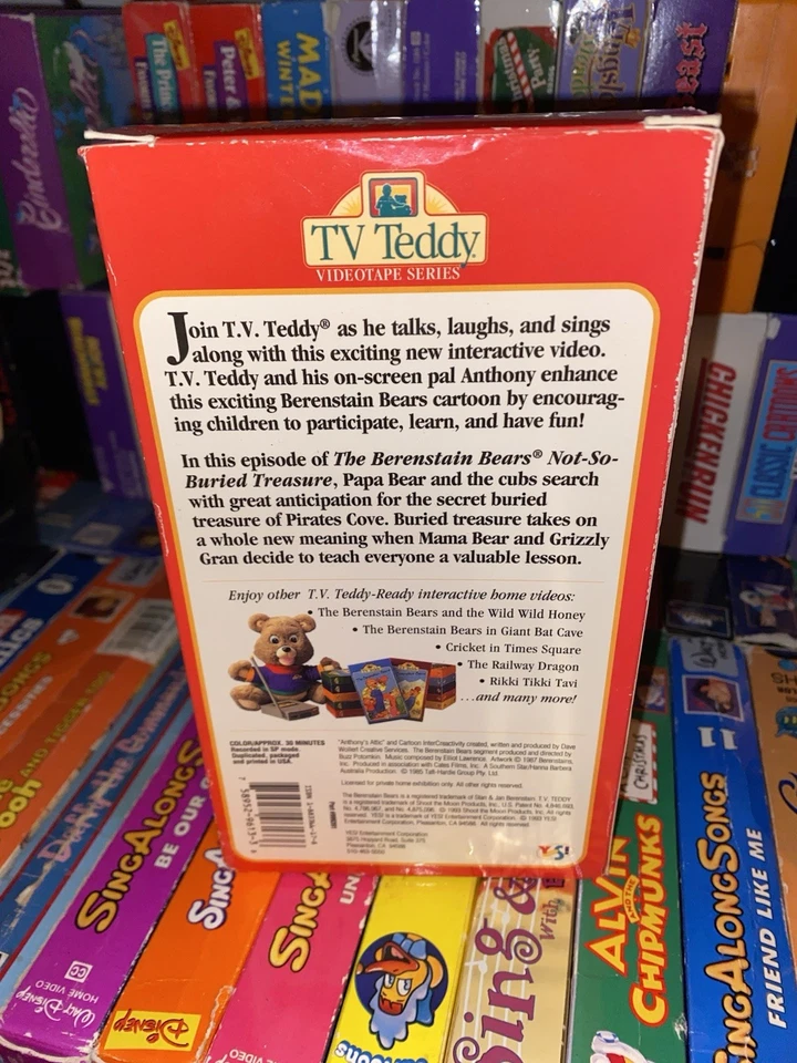 The Berenstain Bears Not-So-Buried Treasure VHS Tape Cartoon Anime Movie Vintage - Image 4 of 4
