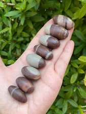 1" Shiva Lingam Stone, Small Shiva Lingam Sacred Stones, Wholesale Bulk Lot