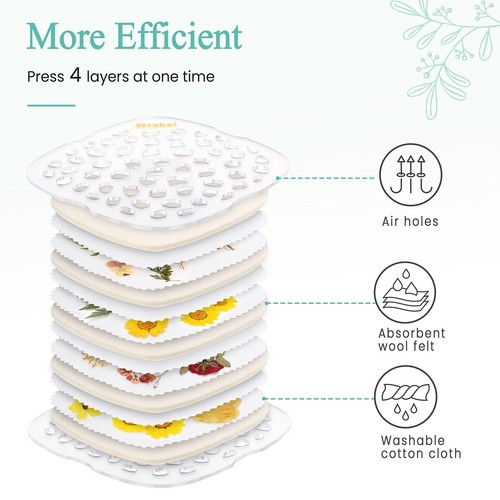Etcokei Microwave Flower Press Kit - 4 Layer Quick Flower Pressing Tool, Grea... - Picture 2 of 6