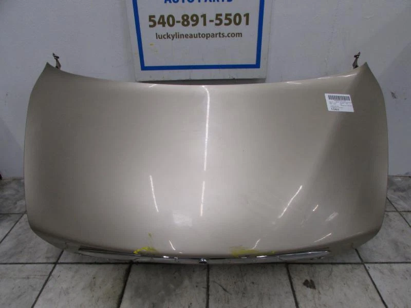 02 03 04 05 06 07 08 JAGUAR TIPO X PUERTA TAPA MALETERO Foto 2 de 4