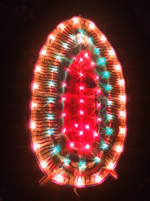 Virgin Mary Lady Of Guadalupe-LightUp Gift Religion 22'' 80 LEDLuz De Guadalupe