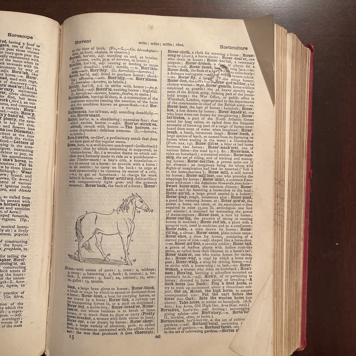 1908 Chamber's Twentieth Century Dictionary | eBay