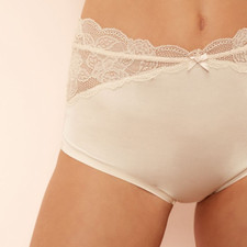 Nylon and Lace High Waist Panties Knickers - The Collection Brief - 20 XXL