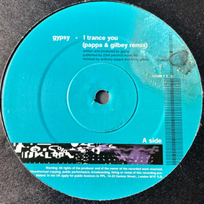 Gypsy / Sublime - Series 100 (Disc One) (12'') (Near Mint (NM or M-)) - 295845621