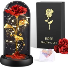 Ewige Rosen Künstliche Blume Rose Geschenk Ewige Rose im Glas mit LED Licht NEU