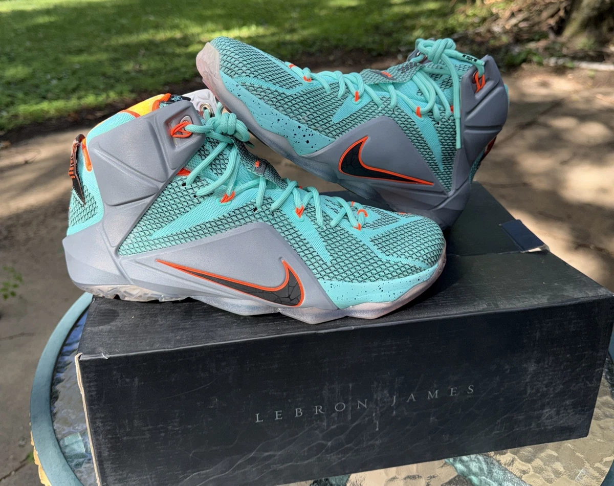 Nike LeBron XII Men's Sneakers for Sale | Authenticity Guaranteed
