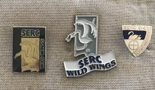 Zwei  Eishockey  pin  eishockey club SERC Wild WIngs + 1 altes logo SERC 04