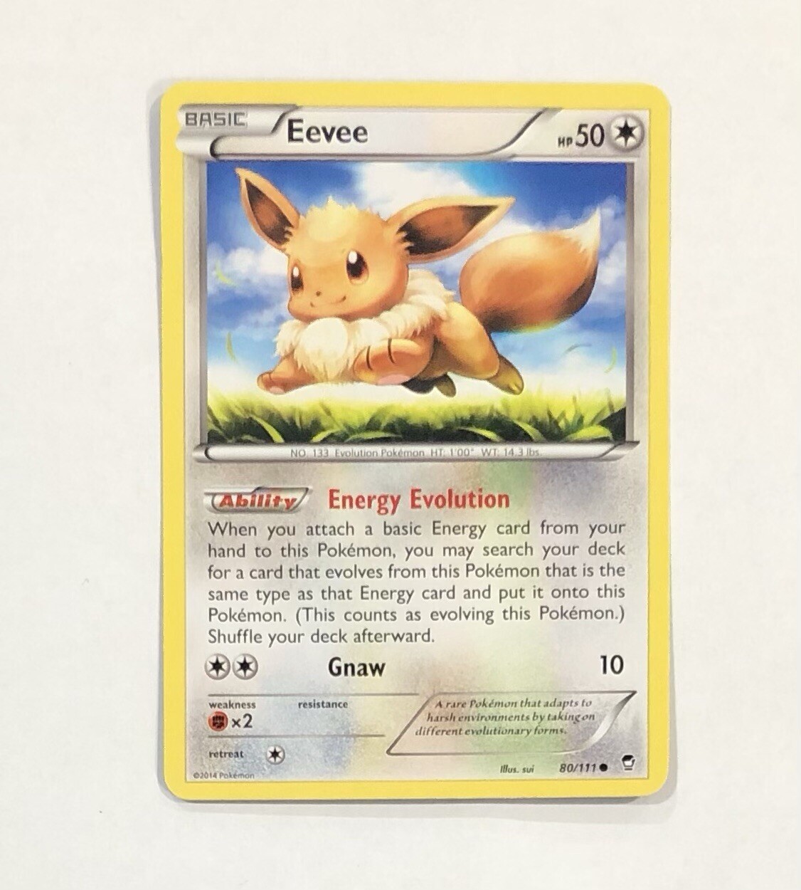 Pokémon EEVEE Card 80/111 Furious Fists NM Near Mint TCG Common Regular XY