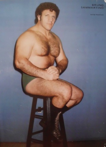 WWWF PRO WRESTLING FROM MADISON SQUARE GARDEN 10/22/79 DVD (W-864)