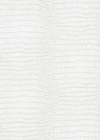 Erismann Vliestapete Forest Dreams Grau 1056010