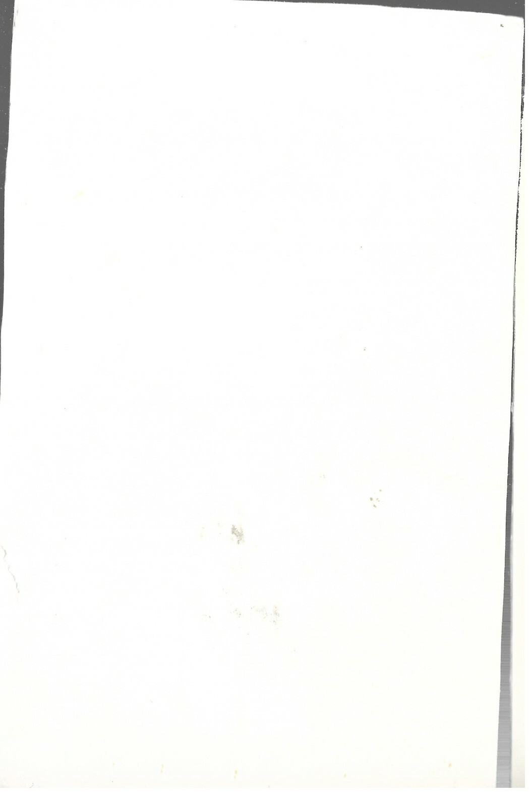 Imagen 7 de 8