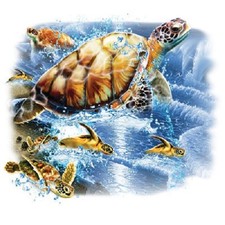 Turtles into the Sea  Tshirt  Sizes/ Colors