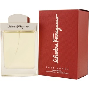 Salvatore Ferragamo pour homme EDT homme 100ml (646875431527)