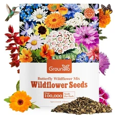 Groundio All Perennial Wildflower Seeds Bulk, 1/4 lb, 100,000+ Seeds, 26 Variety