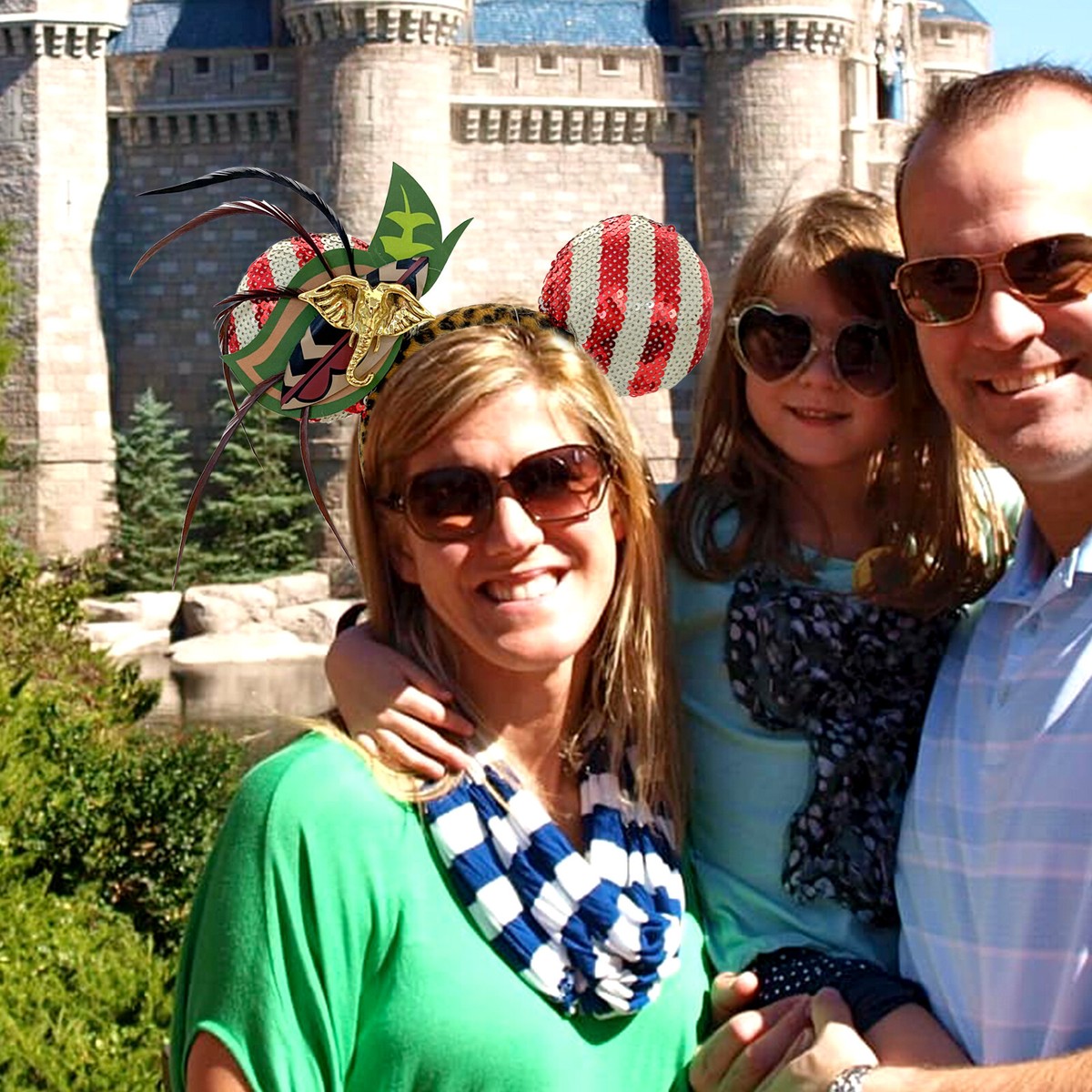 The Main Attraction Disney