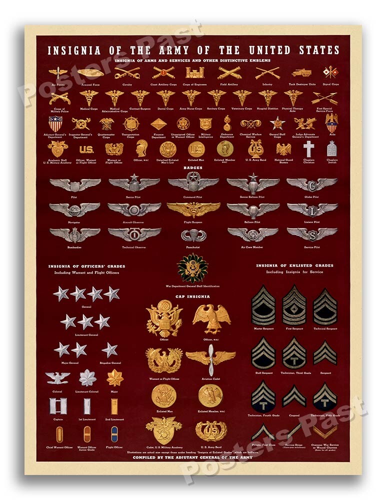 1940s “Insignia of the US Army” WWII Era Poster - 11x14 | eBay