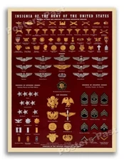 1943 Insignia and Emblems of the U.S. Army Vintage Style WW2 Era Print - 8.5x11