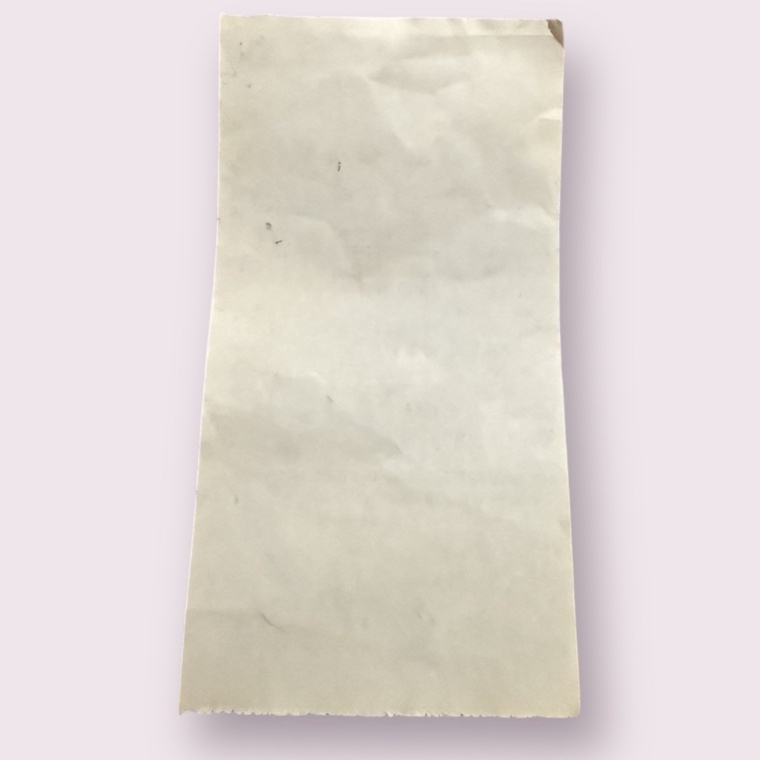 Vintage Christmas 1994 Jamesway Department Stores Toy Sales Receipt