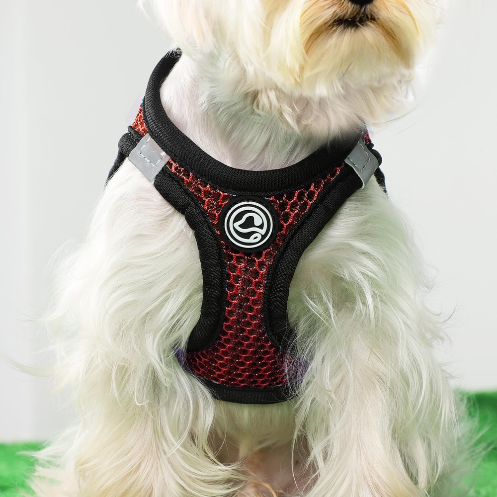 Dog Harness for Medium Dogs Chihuahua Harness Tiny Dog Harness for Cats Dogs ...