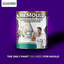 Mr Mould Anti Mould Paint 0.5L-5L Walls Ceilings Anti Condensation Mildew Proof