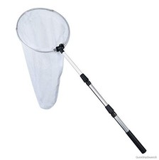 Butterfly Insect Catching Net 12 Inch Ring Telescopic Handle Extends 36 Inches