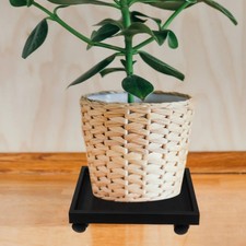  Fioriera pallet portafiori porta bonsai in plastica porta bonsai