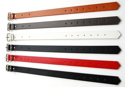 Lederriemen Fixierungsriemen Schnallenriemen 2,5 cm x 60,0 cm in 6 Farben LWPH