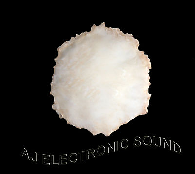 AJ  NEW 16'' DIAMETER UNCUT REAL GOAT  SKIN HEAD FOR ASHIKO,DJEMBE, NATIVE DRUMS
