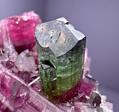 124 Gm Full Terminated Bi Color Tourmaline Crystal Cluster From AFG