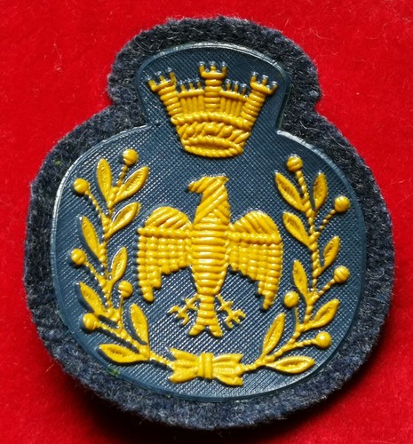 FREGIO BUSTINA BASCO AERONAUTICA MILITARE ITALIA MODELLO EX ORDINANZA 6,5 x  5,4 | eBay