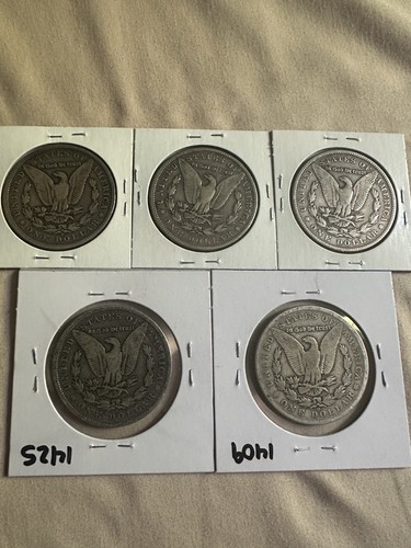 Lotto di 5 dollari Morgan - Foto 2 di 2