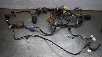 Honda CBR954RR Fireblade SC50 2002-2003 Main Wiring Harness Electrical OEM JDM