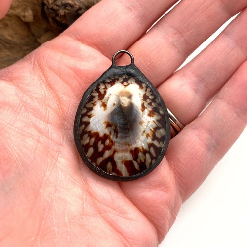 Vintage Puffy Limpet Soldered Shell Pendant (SHP20) - Picture 8 of 11