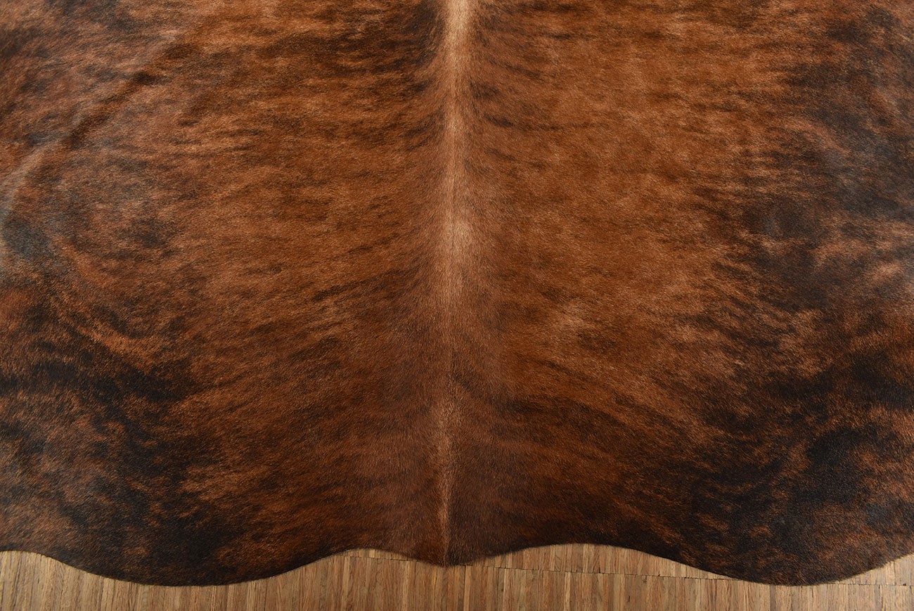 Picture 4 of 5