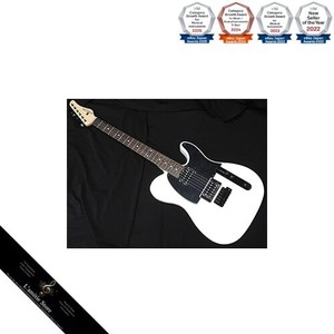 SCHECTER OL-PT-2H-VTR SW R Schecter Telecaster type guitare électrique avec