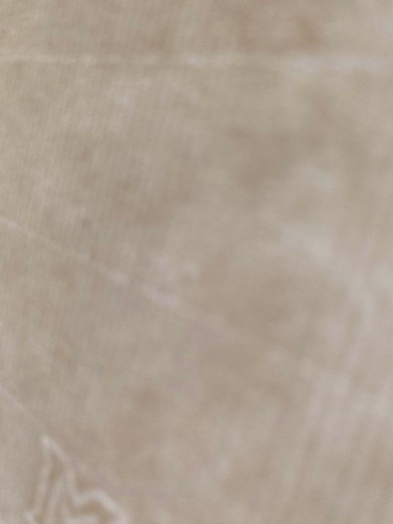 MANET. PORTRAIT PROFILE OF BAUDELAIRE. DRYPOINT ETCHING REAR PRINT