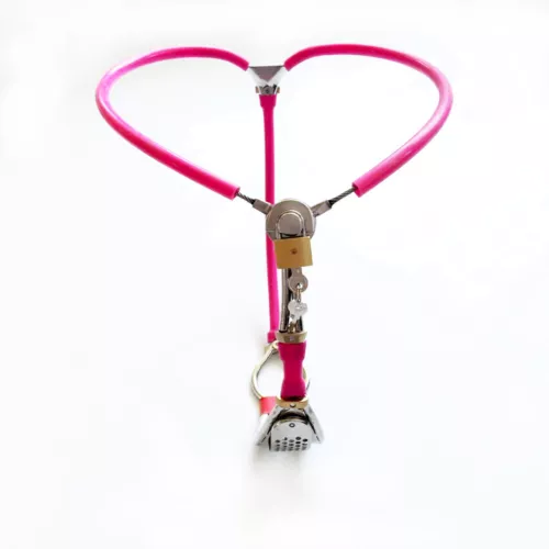 Bondage Stainless Steel Female Adjustable Chastity Belt with Invisible Devices - Picture 10 of 18