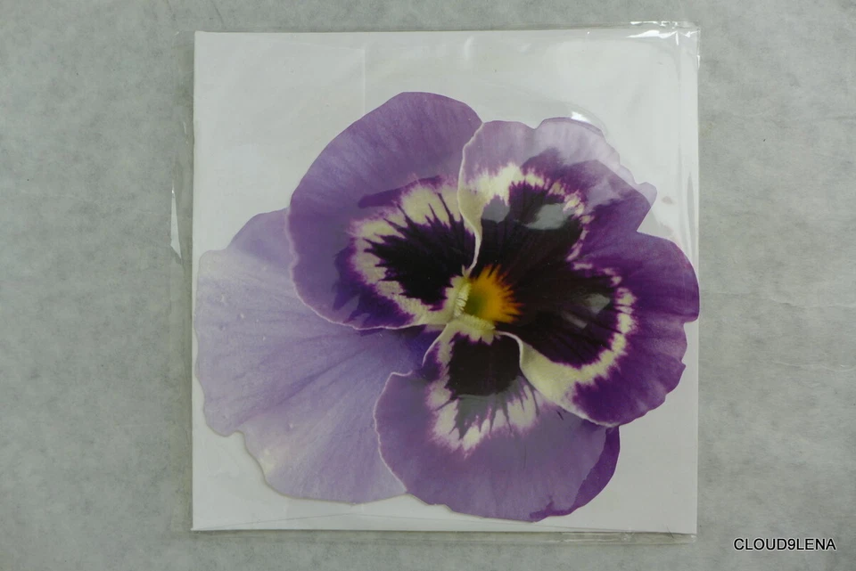 5 Paper House Production Die Cut Blank Cards Daisy Rose Bouquets Pansy Butterfly - Image 4 of 4