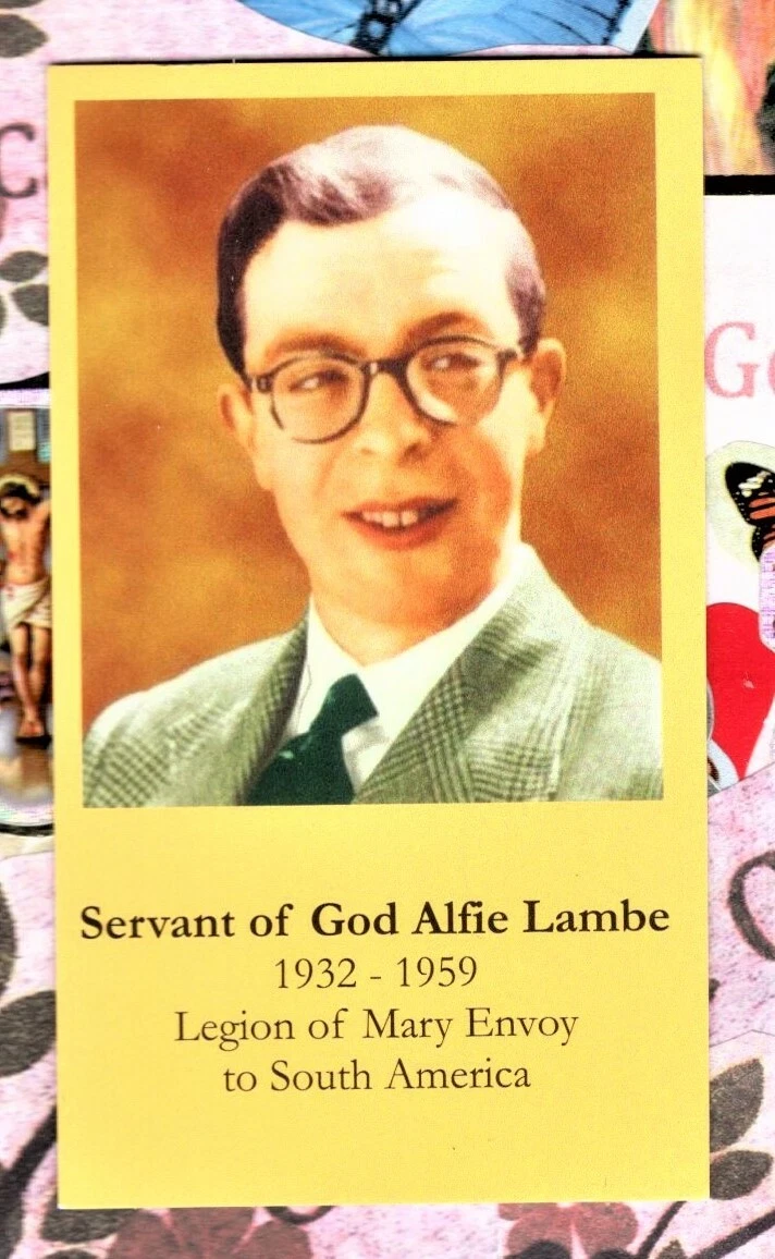 Servant of God Alfie + Prayer (2 x 3 12) Heavy Glossy Paperstock Holy  Card | eBay