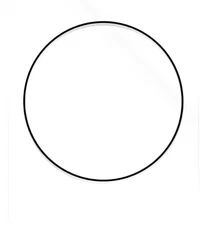 Belt for Sony WM-EX610, WM-EX615, WM-EX621, WM-EX631 Walkman