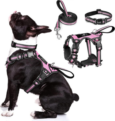 Pet Harness Collar and Leash Set, All-In-One Reflective Dog Harness No Pull with