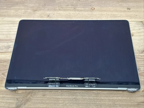 Apple MacBook Pro 13,A1989 A2159 A2289 A2251 LCD Screen Display Assembly, Silver