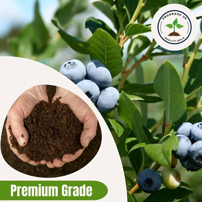 PROGRADE BLUEBERRY COMPOST For Potting & Growing - Ericaceous Peat-Based (Acid Loving)