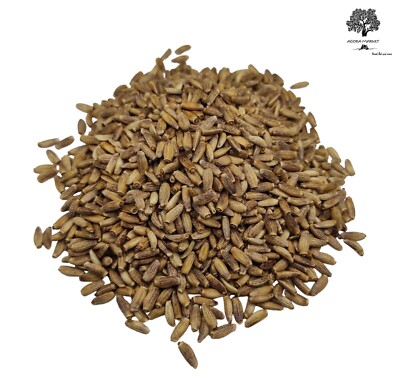 Milk Thistle Seeds 25 g - 1.95 KG Premium Quality Liver Detox Ostropest
