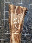 Bild 7 von 12