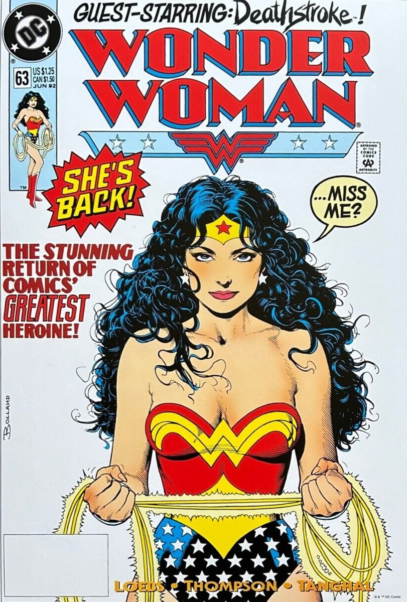 BRIAN BOLLAND rare WONDER WOMAN 63 art print COVER Portfolio 12x16