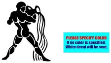 Aquarius 081 Vinyl decal sticker Graphic Die Cut Car Truck Window Bumper 9"