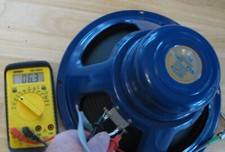 Celestion Blue 12  Inch Alnico Magnet Guitar ...
