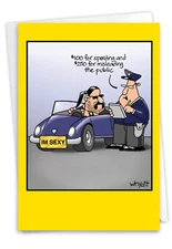 1 Funny Birthday Card with Envelope - Im S-xy Tim Whyatt 8312